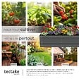 TECTAKE - Bac à fleurs surélevé en acier galvanisé anthracite 200x80x62cm 970L jardinière potager ergonomique fond ouvert coins arrondis sécurité - vignette