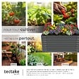 TECTAKE - Bac potager surélevé en acier galvanisé anthracite 120x100x62cm 720l jardinière hauteur ergonomique culture légumes herbes fleurs - vignette
