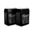 SCS SENTINEL - Kit de 2 batteries de secours BatteryGate 2 - 12V - 2,2 Ah - vignette