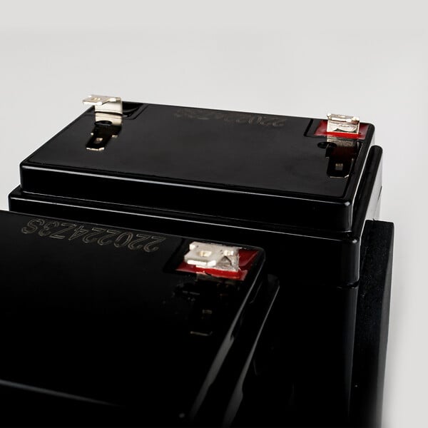 SCS SENTINEL - Kit de 2 batteries de secours BatteryGate 2 - 12V - 2,2 Ah - large