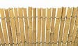 NORTENE - Roseaux fendus - Beige naturelle - L.5xl.1,5m - vignette