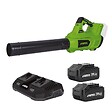 VITO - Souffleur de Feuilles Jardin 40V + 2 Batteries lithium 4AH + Chargeur DOUBLE VITO - vignette