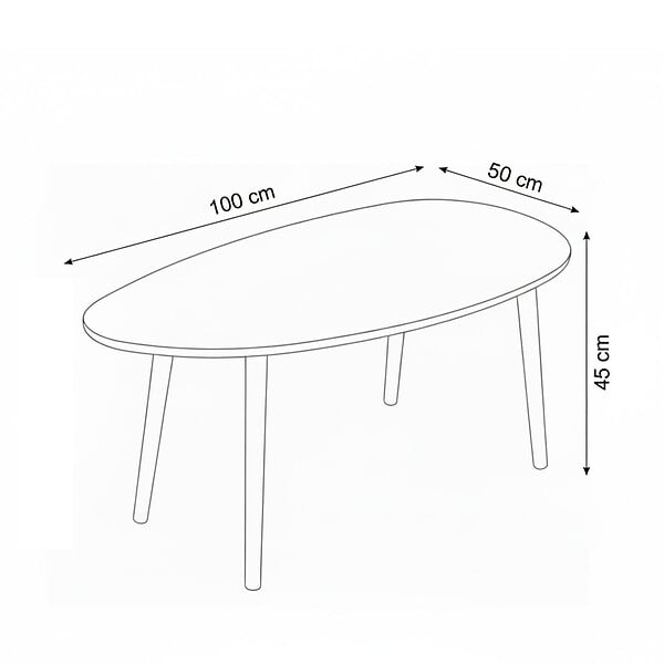 HABITAT ET JARDIN - Table basse en bois "Nora" 100 x 50 x 45 cm - Chêne - large