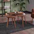HABITAT ET JARDIN - Ensemble de table basse en bois "Alvin" 80 x 52 x 50 cm - Noyer - vignette