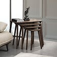 HABITAT ET JARDIN - Table gigogne (4 pièces) en bois "Luci" 70 x 40 x 55 cm - Noyer - vignette