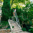 HOSTRÃ–M - Echelle transformable 3 plans StablePro 3x9 marches aluminium extensible coulissante, 6 positions, hauteur travail max 6,10m, garantie 5 ans, Hostrom - vignette
