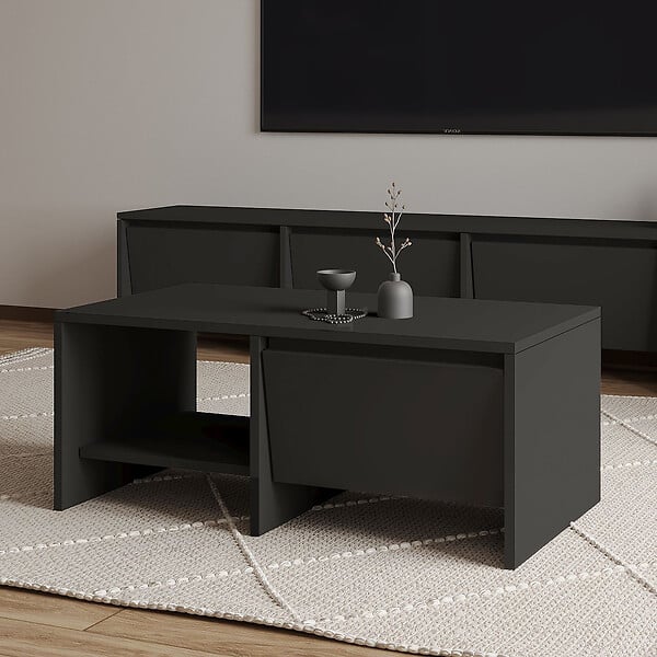 HABITAT ET JARDIN - Table basse en bois "Laris" - 90 x 45 x 35 cm - Gris anthracite - large