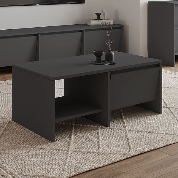 HABITAT ET JARDIN - Table basse en bois "Laris" - 90 x 45 x 35 cm - Gris anthracite - large