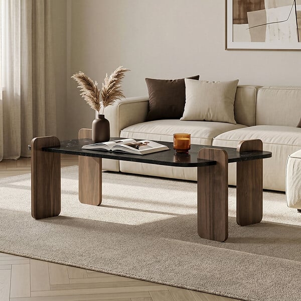 HABITAT ET JARDIN - Table basse en bois "Renard" - 120 x 60 x 35 cm - Noir - large
