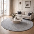 VOUNOT - Tapis de salon poils ras doux antiderapant ф200cm uni gris - vignette