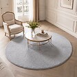 VOUNOT - Tapis de salon poils ras doux antiderapant ф160cm uni gris - vignette