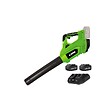 VITO - Souffleur de jardin 40V - 2 Batteries lithium 4AH + Chargeur DOUBLE VITO - vignette