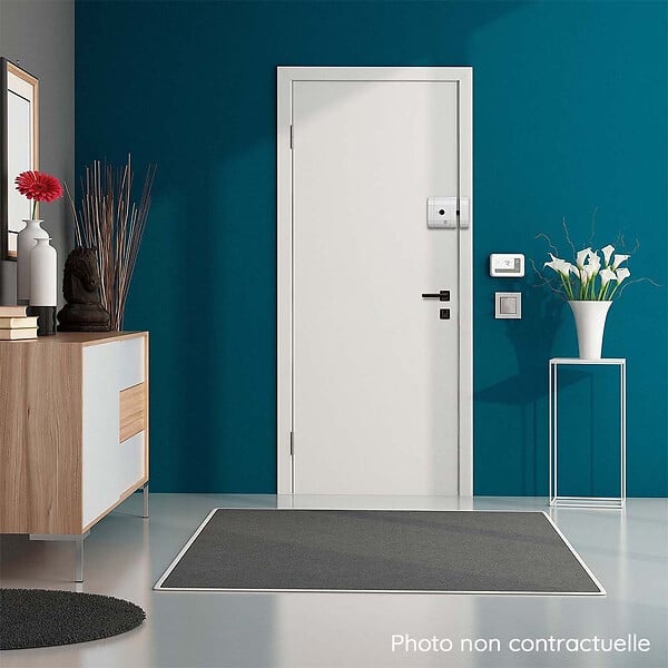 AYR - AYR Verrou int-LOCK PRO 508 : verrou intelligent pilotable à distance en laiton avec alarme Bluetooth - large