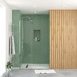 AURLANE - Paroi de Douche 50x195 cm en Verre Trempé 5 mm - Finition Chromé - CHROMED ELEMENTARY - vignette