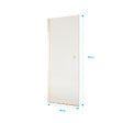 AURLANE - Porte de Douche Pivotante 80x180 cm en Verre Trempe 5 mm - Finition Or Brosse - GOLD ELEMENTARY - vignette