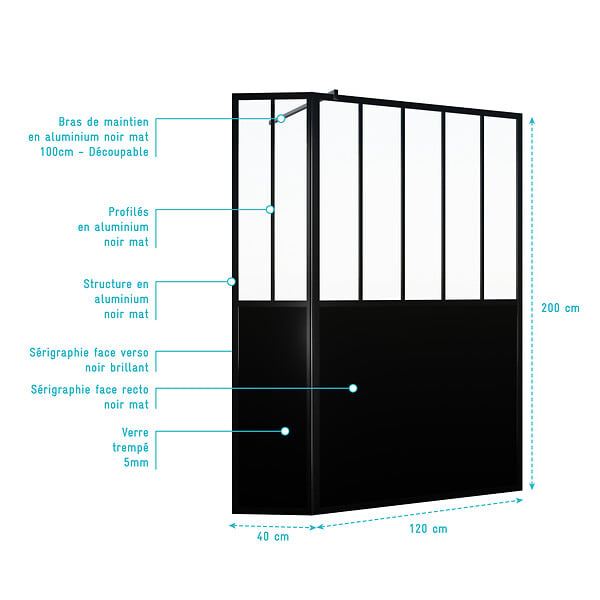 AURLANE - Paroi de Douche Façon Verrière avec Volet Pivotant - 120+40x200 cm - Verre Transparent et Noir - large