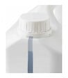3T - Antimousse concentré 3T 5 litres à diluer pour 1000 m² de traitement toit toiture mur et sol - vignette
