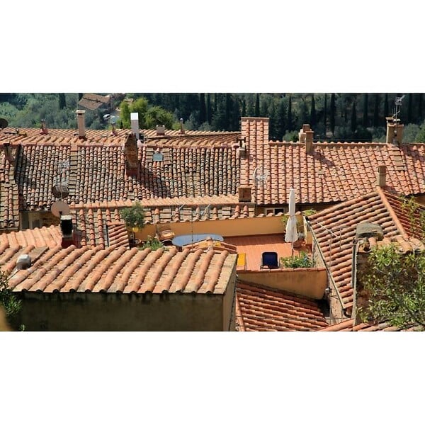 3T - Antimousse concentré 3T 5 litres à diluer pour 1000 m² de traitement toit toiture mur et sol - large