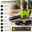 VITO - Souffleur de Feuilles Sans Fil 20V + Batterie 2Ah + Chargeur rapide 2 Vitesses Nettoyage Terrasse Allée Jardin VITO - vignette