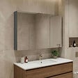 HABITAT ET JARDIN - Meuble Salle de Bain avec Miroir "Bari 100" - 97 x 16 x 66 cm - Matte Anthracite - vignette