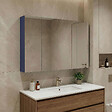 HABITAT ET JARDIN - Meuble Salle de Bain avec Miroir "Bari 100" - 97 x 16 x 66 cm - Matte Navy Blue - vignette