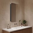 HABITAT ET JARDIN - Meuble Salle de Bain avec Miroir "Orbit 50" - 50 x 16 x 71 cm - Anthracite - vignette
