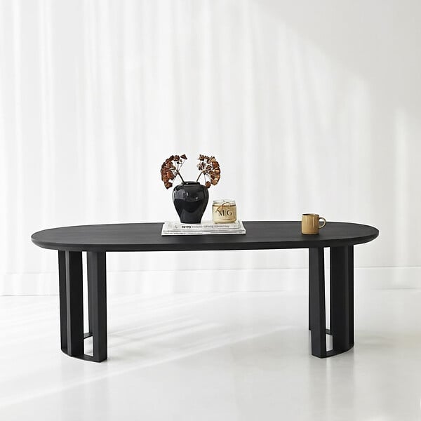 HABITAT ET JARDIN - Table basse en bois "Elysia" - 120 x 60 x 40 cm - Noir - large