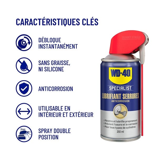 WD-40 - Lubrifiant serrures 250 ml système professionnel - WD40 - 33303 - large