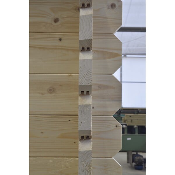 ALTANKA - Abri de jardin en bois - 30m2 - 6x5m - Ep. 40mm - Couleur: naturel - DOM748 - large