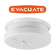 EVACUATE - EVACUATE Détecteur de fumée NF autonomie 5 ans - Garantie 3 ans - vignette