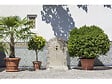 HABITAT ET JARDIN - Fontaine "Calypso" - 0.62 x 0.40 x 0.93 m - vignette