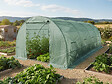 HABITAT ET JARDIN - Bâche pour serre tunnel de jardin "Lys" - 18 m² - 130g - Vert - vignette
