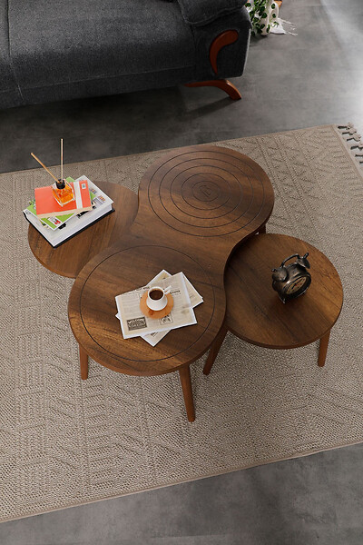 HABITAT ET JARDIN - Ensemble de table basse en bois "Marlo" 100 x 50 x 45 cm - Noyer - large