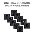 SIEMENS - SIEMENS Lot de 10 Prises 2P+T Anthracite Delta Iris avec plaque anthracite - vignette