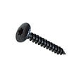 Vis penture torx acier zingué noir 6x40 t30 x100 - vignette