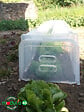 MODULO - Tunnel de forçage Modulo 40 - Lot de 3 - H.30xL.105xl.39cm - vignette