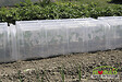 MODULO - Tunnel de forçage Modulo 40 - Lot de 3 - H.30xL.105xl.39cm - vignette