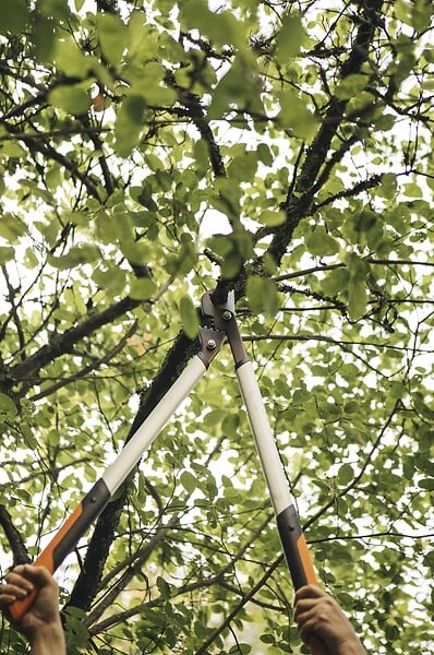 FISKARS - Coupe-branches à crémaillère - PowerGearX L - Coupe 55mm - large