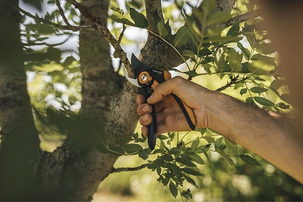 FISKARS - Sécateur à lame franche SmartFit - Capacité de coupe 24mm - large