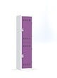 P.HENRY - Vestiaire acier 1 colonne 2 cases gris perle et prune 180cm - vignette