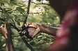 FISKARS - Sécateur à lame franche - PowerLever P721 - Coupe 24mm - vignette