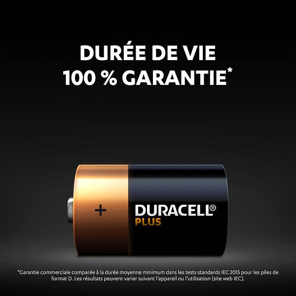 DURACELL - Pile alcaline format D x2 - 1.5V - large