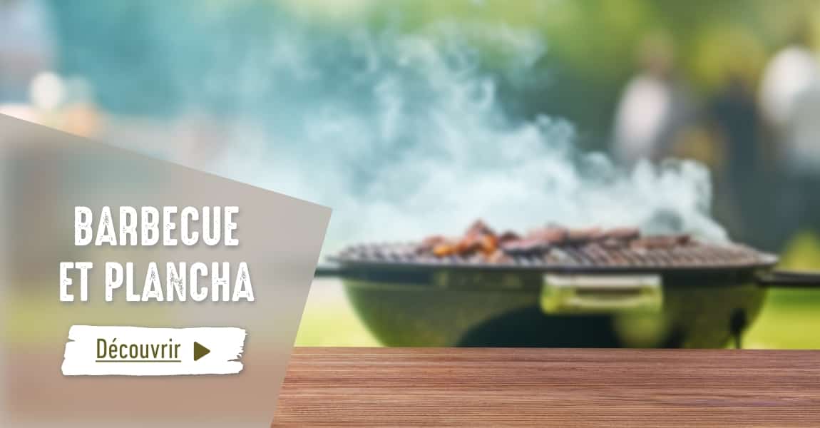 Barbecue et plancha