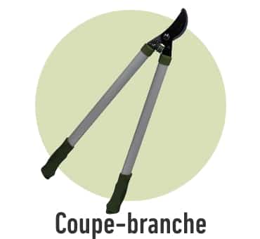 Coupe-branche
